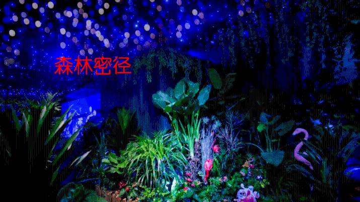 多位媒体人吐槽铃木彩艳：真是短板！日本足球允许试错